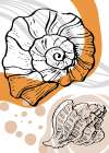 Shells Art Print