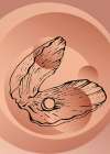Shells Art Print