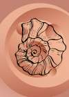 Shells Art Print