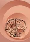 Shells Art Print
