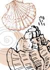 Shells Art Print