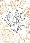 Shells Art Print
