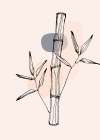 Bamboo Art Print