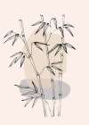 Bamboo Art Print