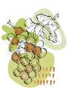 Grape Art Print
