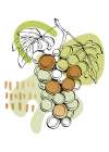 Grape Art Print