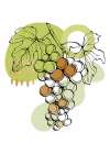 Grape Art Print
