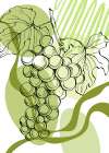Grape Art Print