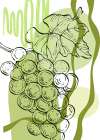 Grape Art Print