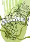 Grape Art Print