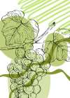 Grape Art Print