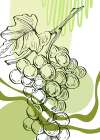 Grape Art Print