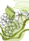 Grape Art Print