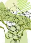 Grape Art Print