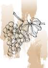 Grape Abstract Art Print