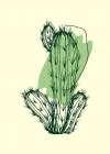 Cactus exotic plants succulents Art Print