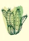 Cactus exotic plants succulents Art Print
