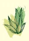 Cactus exotic plants succulents Art Print