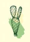 Cactus exotic plants succulents Minimalist Print