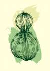 Cactus exotic plants succulents Art Print