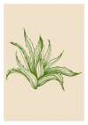 Cactus exotic plants succulents Art Print