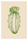Cactus exotic plants succulents Art Print