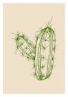 Cactus exotic plants succulents Art Print