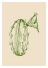 Cactus exotic plants succulents Art Print