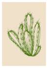 Cactus exotic plants succulents Art Print