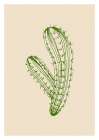 Cactus exotic plants succulents Art Print