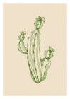Cactus exotic plants succulents Art Print