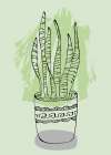 Flowers Indoor plants Art Print
