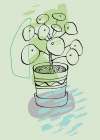 Flowers Indoor plants Art Print