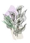 Callas flowers minimal art Art Print