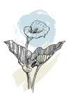 Callas flowers minimal art Art Print