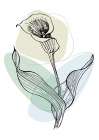 Callas flowers minimal art Art Print