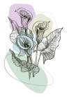 Callas flowers minimal art Art Print