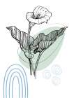 Callas flowers minimal art Art Print