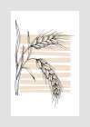 Wheat Art Print
