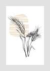 Wheat Art Print