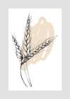 Wheat Abstract Art Print