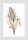 Wheat Art Print