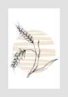 Wheat Abstract Art Print