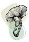 Mushrooms Art Print