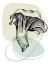 Mushrooms Art Print