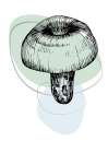 Mushrooms Art Print