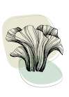 Mushrooms Art Print
