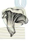 Mushrooms Art Print