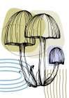 Mushrooms Art Print