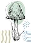 Mushrooms Art Print